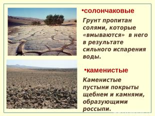 каменистые Каменистые пустыни покрыты щебнем и камнями, образующими россыпи. сол