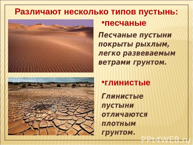 Различают несколько типов пустынь: песчаные Песчаные пустыни покрыты рыхлым, легко развеваемым ветрами грунтом. глинистые Глинистые пустыни отличаются плотным грунтом.