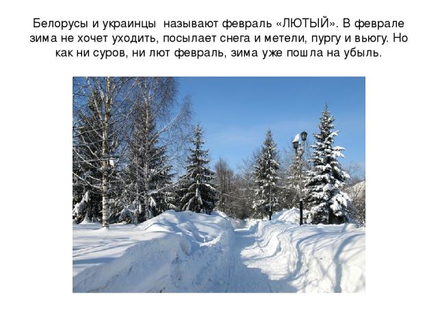 Белорусы и украинцы называют февраль «ЛЮТЫЙ». В феврале зима не хочет уходить, посылает снега и метели, пургу и вьюгу. Но как ни суров, ни лют февраль, зима уже пошла на убыль.