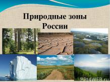 Характеристика природных зон России
