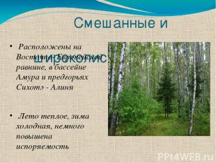 Смешанные и широколиственные леса Расположены на Восточно- Европейской равнине,