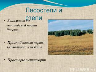 Лесостепи и степи Занимают юг европейской части России Проглядывают черты засушл