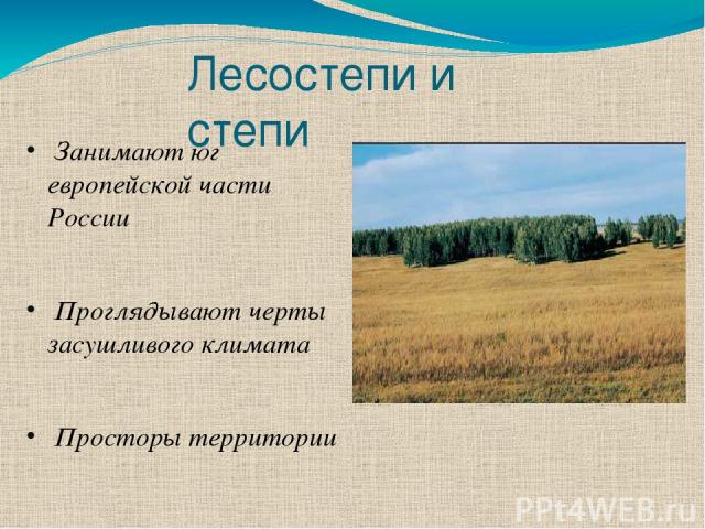 Лесостепи и степи Занимают юг европейской части России Проглядывают черты засушливого климата Просторы территории