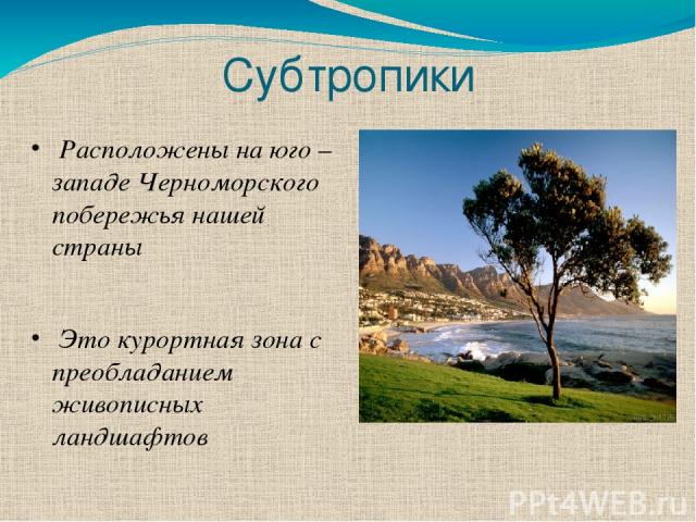 Субтропики Расположены на юго – западе Черноморского побережья нашей страны Это курортная зона с преобладанием живописных ландшафтов