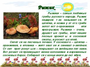 Рыжик Рыжики – самые любимые грибы русского народа. Рыжик недаром так называется