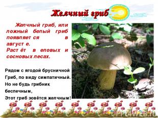 Желчный гриб Желчный гриб, или ложный белый гриб появляется в августе. Растёт в