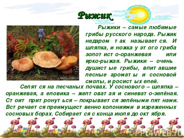 Рыжик Рыжики – самые любимые грибы русского народа. Рыжик недаром так называется. И шляпка, и ножка у этого гриба золотисто-оранжевая или ярко-рыжая. Рыжики – очень душистые грибы, впитавшие лесные ароматы и сосновой смолы, и росистых елей. Селятся …