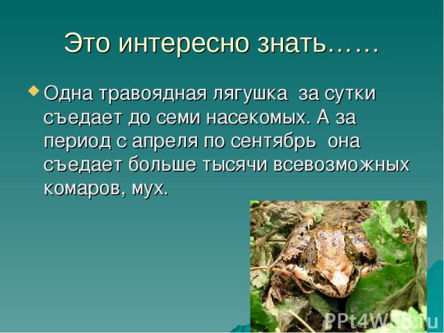 Это интересно знать…… Одна травоядная лягушка за сутки съедает до семи насекомых. А за период с апреля по сентябрь она съедает больше тысячи всевозможных комаров, мух.