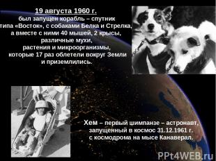 19 августа 1960 г. был запущен корабль – спутник типа «Восток», с собаками Белка