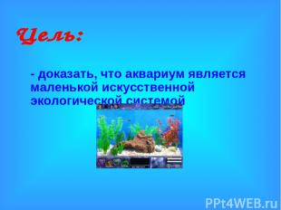 - доказать, что аквариум является маленькой искусственной экологической системой