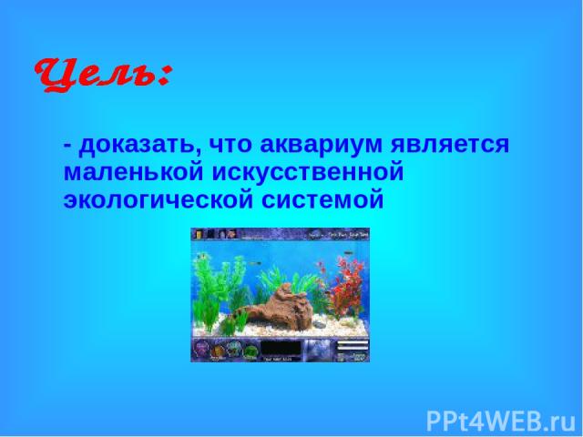 - доказать, что аквариум является маленькой искусственной экологической системой