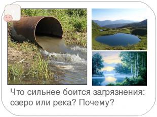 Что сильнее боится загрязнения: озеро или река? Почему? ?