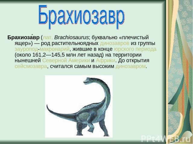 Брахиоза вр (лат. Brachiosaurus; буквально «плечистый ящер») — род растительноядных динозавров из группы зауропод-макронарий, жившие в конце юрского периода (около 161,2—145,5 млн лет назад) на территории нынешней Северной Америки и Африки. До откры…