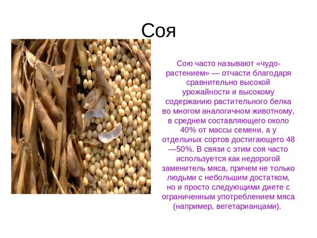 Соя Сою часто называют «чудо-растением» — отчасти благодаря сравнительно высокой урожайности и высокому содержанию растительного белка во многом аналогичном животному, в среднем составляющего около 40% от массы семени, а у отдельных сортов достигающ…