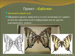 Проект: «Бабочки» * Заключительный этап Оформить проект, вывесить в холле( возмо