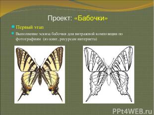 Проект: «Бабочки» * Первый этап Выполнение эскиза бабочки для витражной композиц
