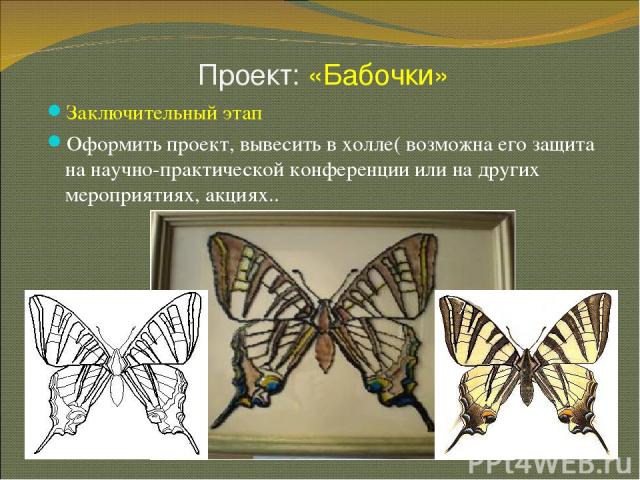 Проект: «Бабочки» * Заключительный этап Оформить проект, вывесить в холле( возможна его защита на научно-практической конференции или на других мероприятиях, акциях..