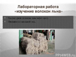 Свойства волокон льна Длина - длинное (250 – 1000 мм) Тонина - толстое Сминаемос