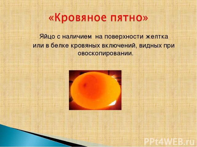 Яйцо с наличием на поверхности желтка или в белке кровяных включений, видных при овоскопировании.