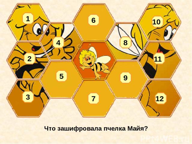 Что зашифровала пчелка Майя? 1 2 3 4 5 6 8 7 9 10 11 12