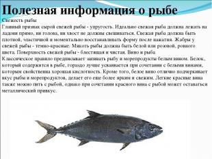 Полезная информация о рыбе Свежесть рыбы Главный признак сырой свежей рыбы - упр