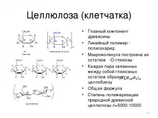 Целлюлоза (клетчатка) Главный компонент древесины Линейный полимер - полисахарид