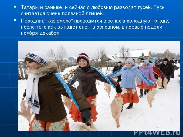 Татары и раньше, и сейчас с любовью разводят гусей. Гусь считается очень полезной птицей. Праздник “каз өмәсе” проводится в селах в холодную погоду, после того как выпадет снег, в основном, в первые недели ноября-декабря.