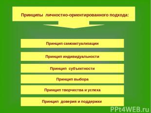 Принцип самоактуализации Принцип индивидуальности Принцип субъектности Принцип в