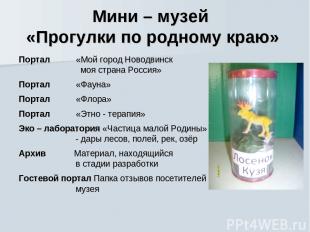 Мини – музей «Прогулки по родному краю» Портал «Мой город Новодвинск моя страна