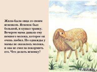 Жила-была овца со своим ягненком. Ягненок был большой, и кушал травку. Вечером м