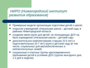 НИРО (Нижегородский институт развития образования) Примерные модели организации