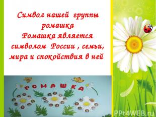 Символ нашей группы ромашка Ромашка является символом России , семьи, мира и спо