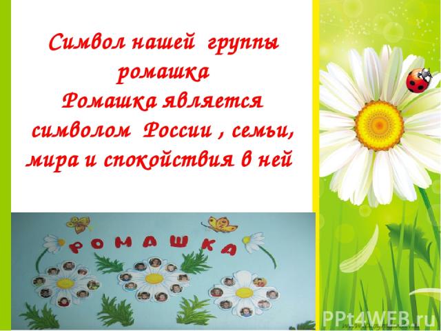 Символ нашей группы ромашка Ромашка является символом России , семьи, мира и спокойствия в ней