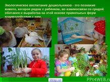 Экологическое воспитание детей