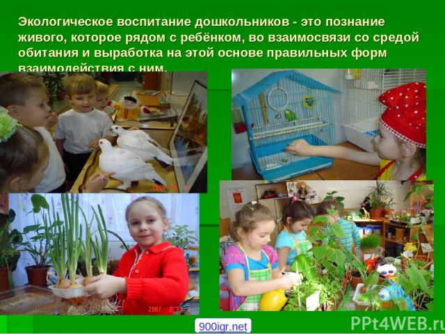 Экологическое воспитание дошкольников - это познание живого, которое рядом с ребёнком, во взаимосвязи со средой обитания и выработка на этой основе правильных форм взаимодействия с ним. 900igr.net
