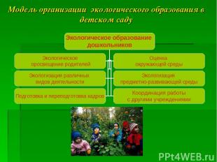Модель организации экологического образования в детском саду