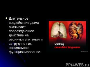 Длительное воздействие дыма оказывает повреждающее действие на реснички эпителия