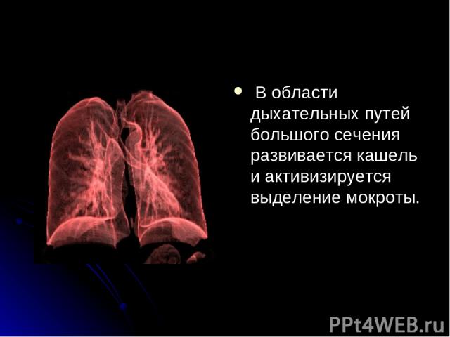 В области дыхательных путей большого сечения развивается кашель и активизируется выделение мокроты.