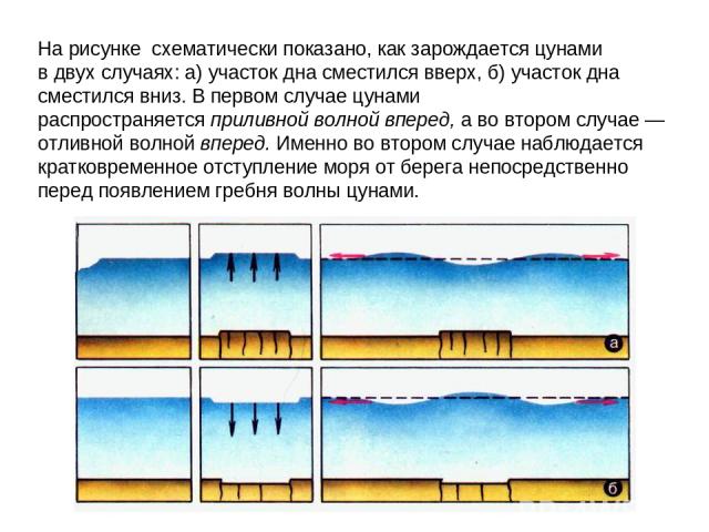 На рисунке  схематически показано, как зарождается цунами в двух случаях: а) участок дна сместился вверх, б) участок дна сместился вниз. В первом случае цунами распространяется приливной волной вперед, а во втором случае — отливной волной вперед. Им…