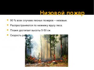 Низовой пожар 90 % всех случаев лесных пожаров – низовые. Распространяются по ни