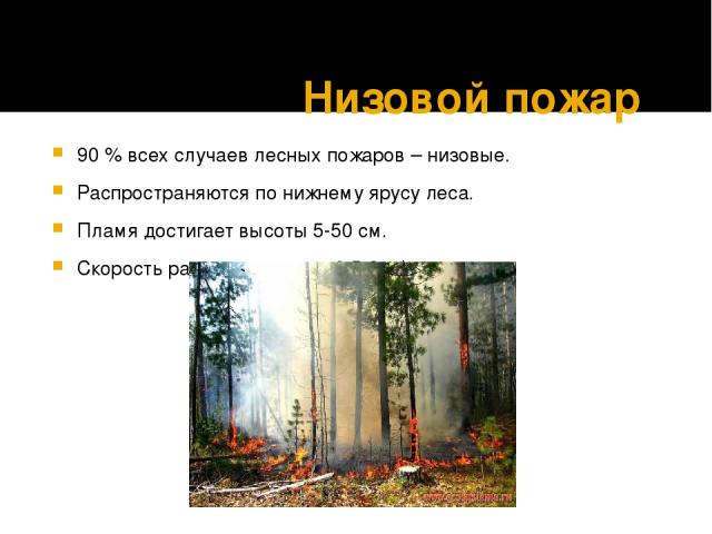 Низовой пожар 90 % всех случаев лесных пожаров – низовые. Распространяются по нижнему ярусу леса. Пламя достигает высоты 5-50 см. Скорость распространения 0,5-3 м/мин.