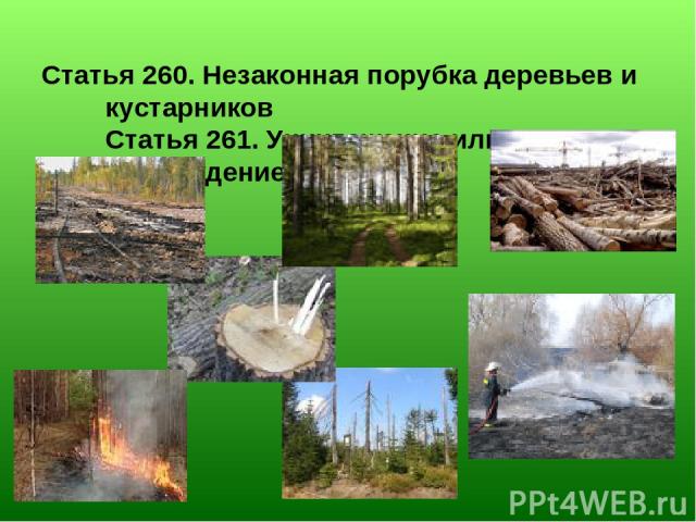 Статья 260. Незаконная порубка деревьев и кустарников Статья 261. Уничтожение или повреждение лесов