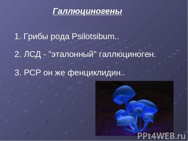 Галлюциногены 1. Грибы рода Psilotsibum.. 2. ЛСД - 
