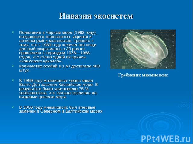 Инвазия экосистем Появление в Черном море (1982 году), поедающего зоопланктон, икринки и личинки рыб и моллюсков, привело к тому, что к 1989 году количество пищи для рыб сократилось в 30 раз по сравнению с периодом 1978—1988 годов, что стало одной и…