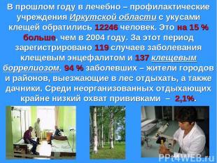 В прошлом году в лечебно – профилактические учреждения Иркутской области с укуса