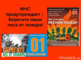 МЧС предупреждает : Берегите наши леса от пожара!
