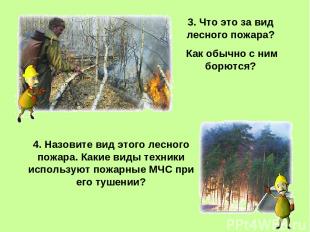 3. Что это за вид лесного пожара? Как обычно с ним борются? 4. Назовите вид этог