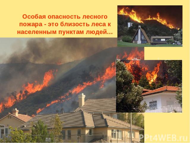Особая опасность лесного пожара - это близость леса к населенным пунктам людей…