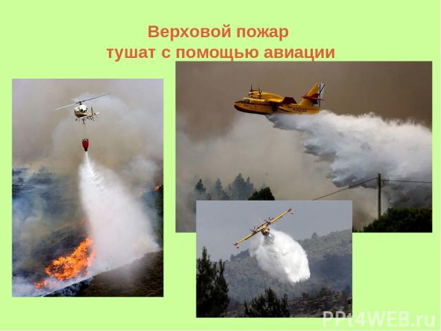 Верховой пожар тушат с помощью авиации