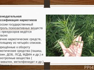 Законодательная классификация наркотиков В России государственный контроль психо